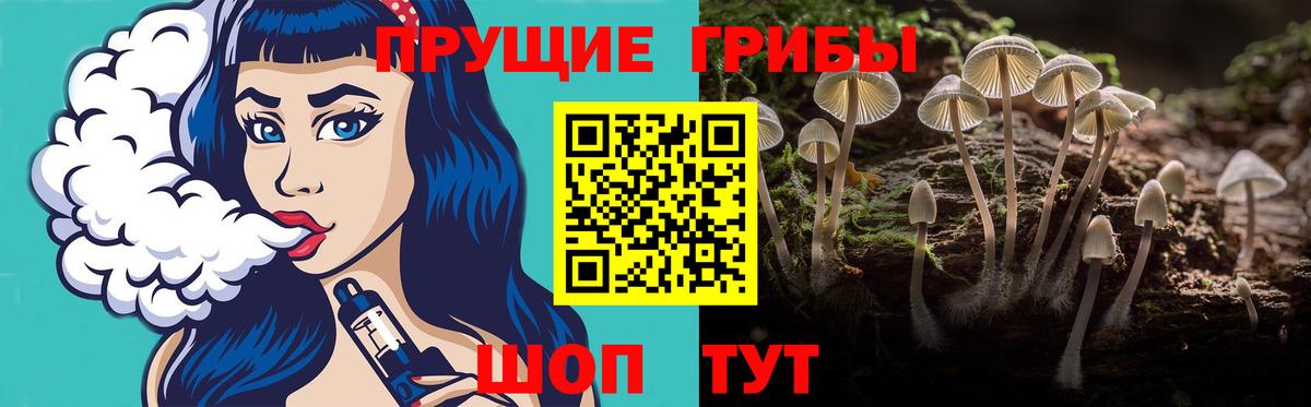 Коммунар  Псилоцибиновые грибы Psilocybine cubensis  Вход с VPN 
